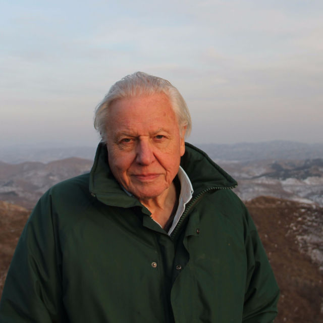 Rise of The Animals With David Attenborough